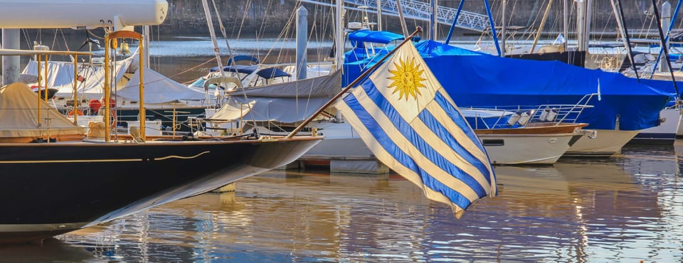 fotos Uruguay 2026-04jpg_1